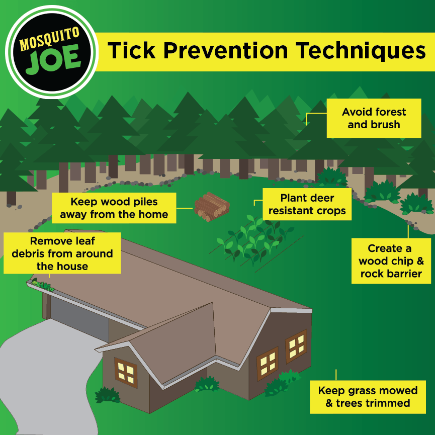 Tips and Tricks: keep wood piles away from the home, Remove lead debris from around the house, plant deer resistant crops, avoid forest and brush, create a wood chip and rock barrier, and finally, keep grass moved and trees trimmed.